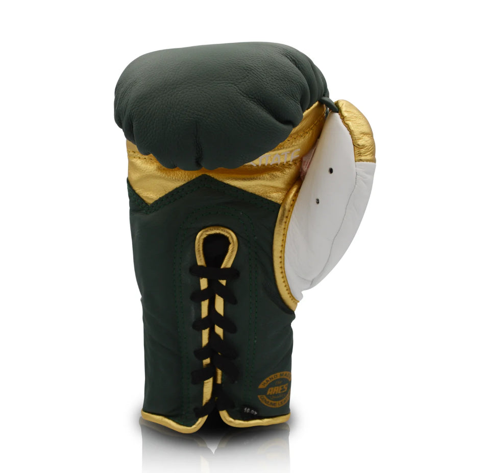 Ares Speciale Boxing Gloves - Horsehair
