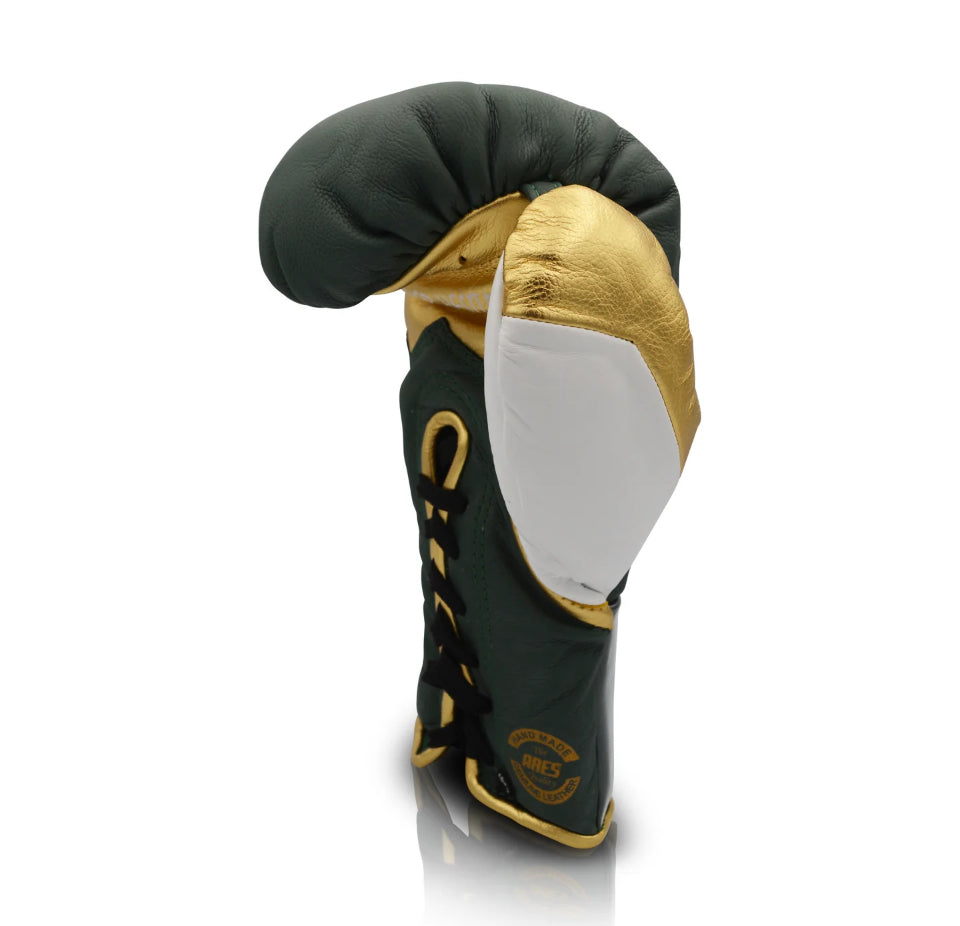 Ares Speciale Boxing Gloves - Horsehair
