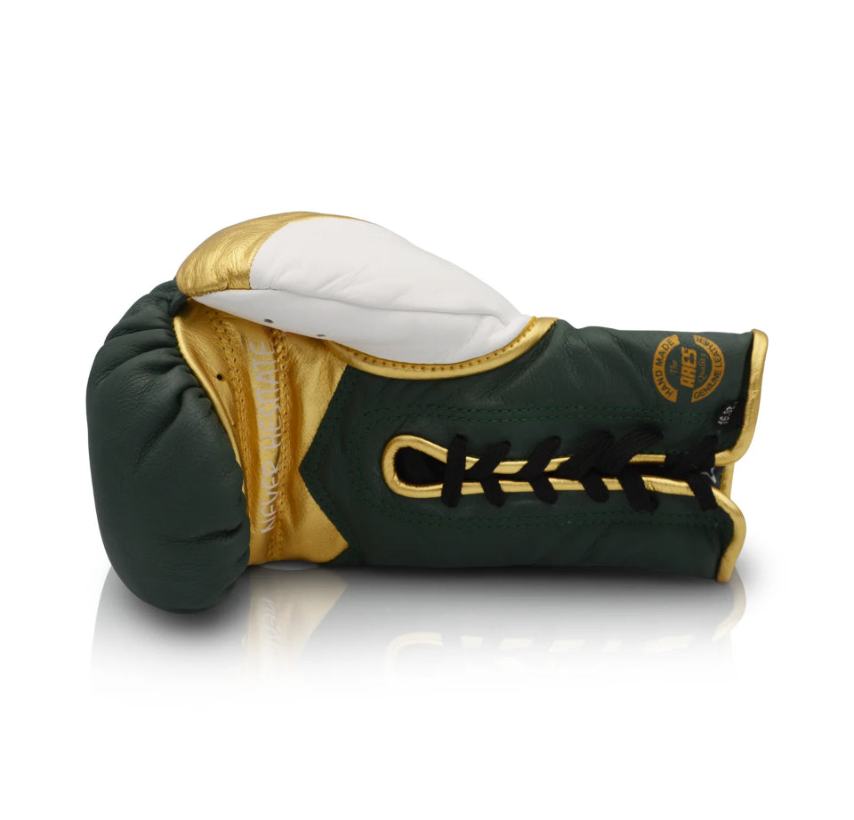 Ares Speciale Boxing Gloves - Horsehair