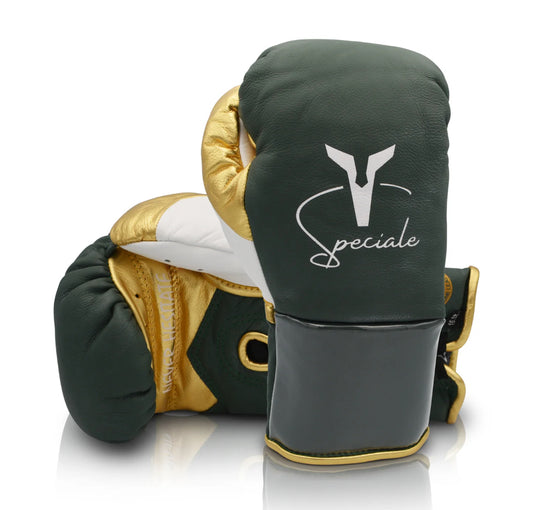 Ares Speciale Boxing Gloves - Horsehair