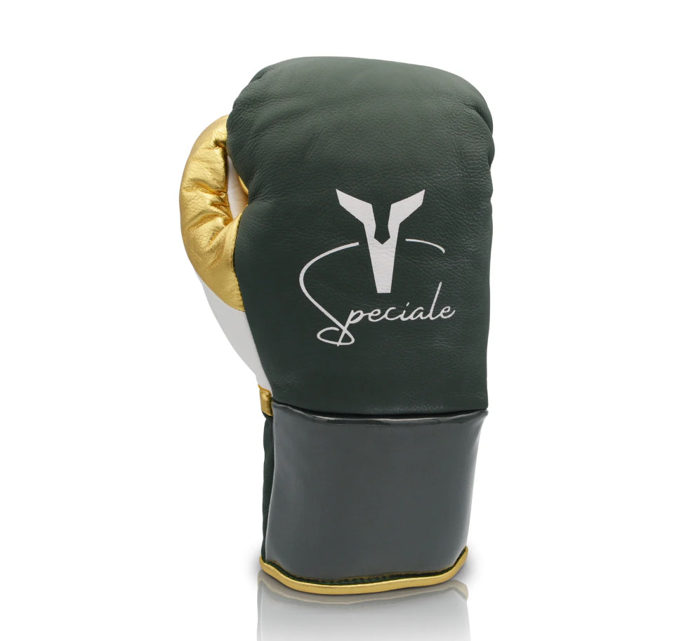 Ares Speciale Boxing Gloves - Horsehair