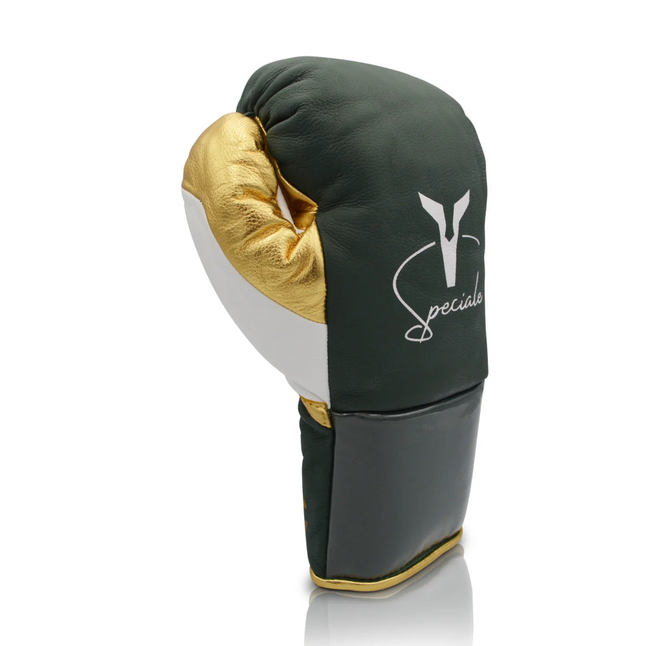 Ares Speciale Boxing Gloves - Horsehair