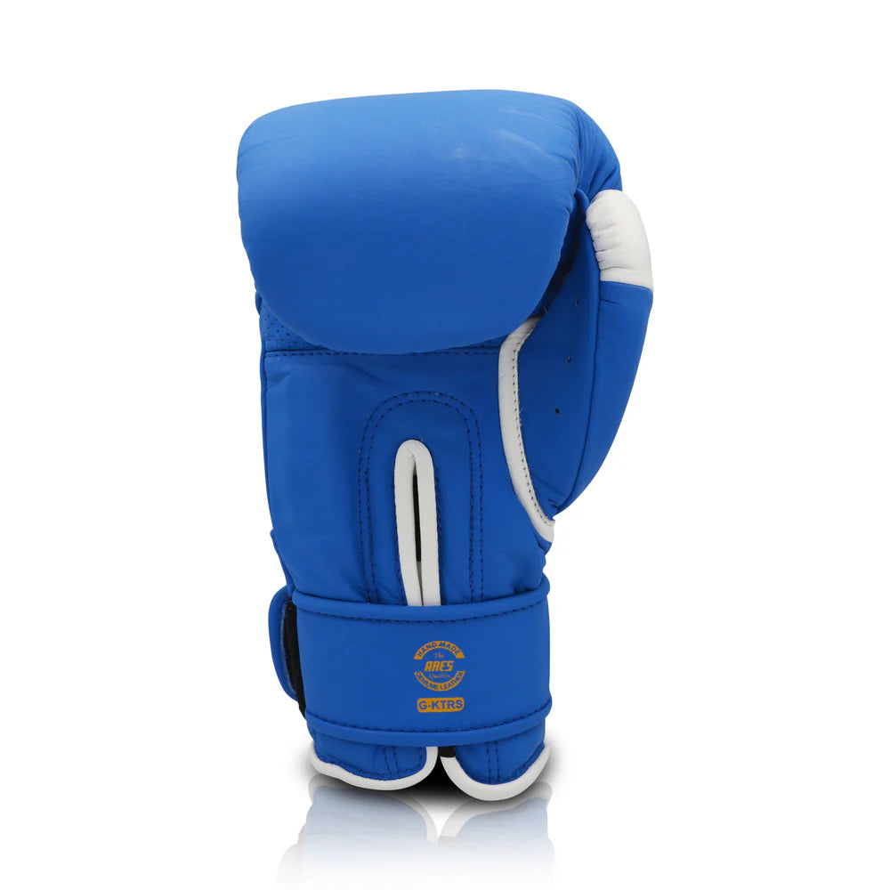 Ares Kratos Sparring & Bag Gloves Hook and Loop